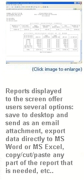 screen report
