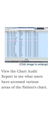 Audit